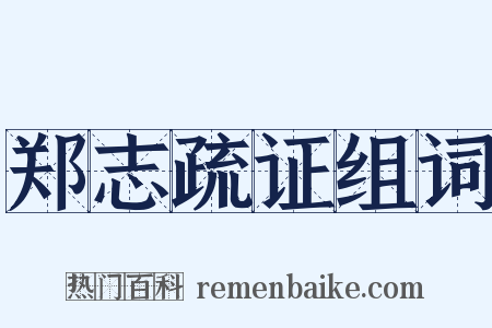 郑志疏证组词是什么意思的图片